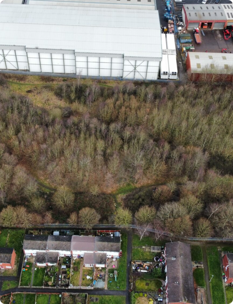 Japanese Knotweed Excavation and Removal and Vegetation Clearance in Chesterfield