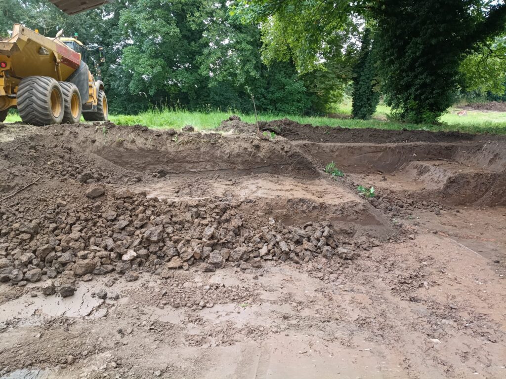 Stockton-on-Tees Japanese Knotweed Removal